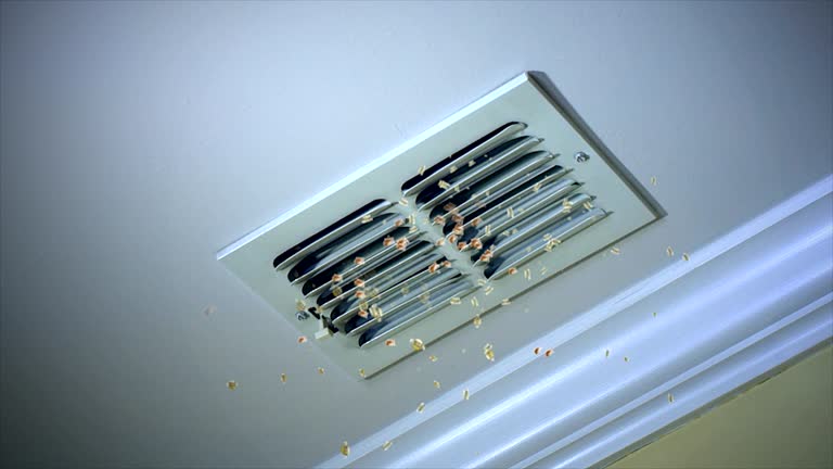 Best HVAC Duct Inspection Services  in Peru, IL