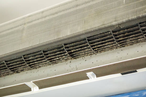 Best Affordable Duct Cleaning Services  in Peru, IL